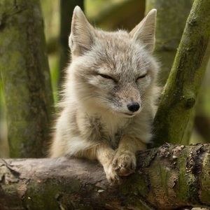 Meet your Posher, Mika